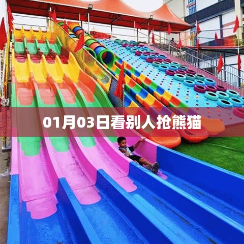 熊貓搶先看，元旦新景象