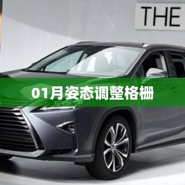 姿態(tài)調(diào)整格柵，一月操作指南