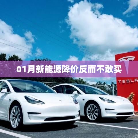 新能源降價(jià)引發(fā)觀望心態(tài)，消費(fèi)者猶豫待購