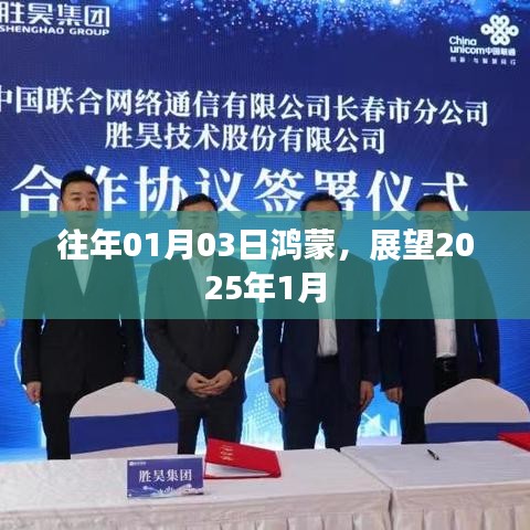 展望2025年1月，鴻蒙的未來(lái)之路