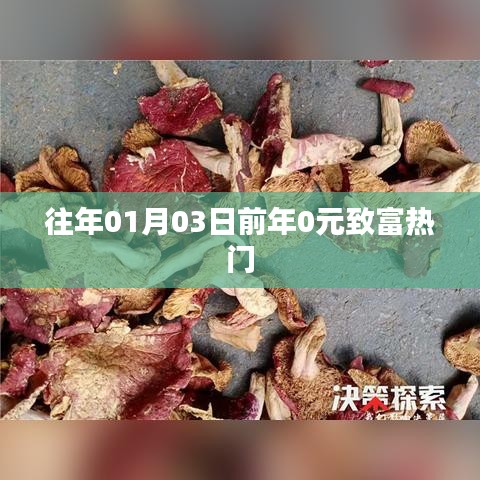「歷年致富熱門回顧，年前零元起步熱門商機(jī)」