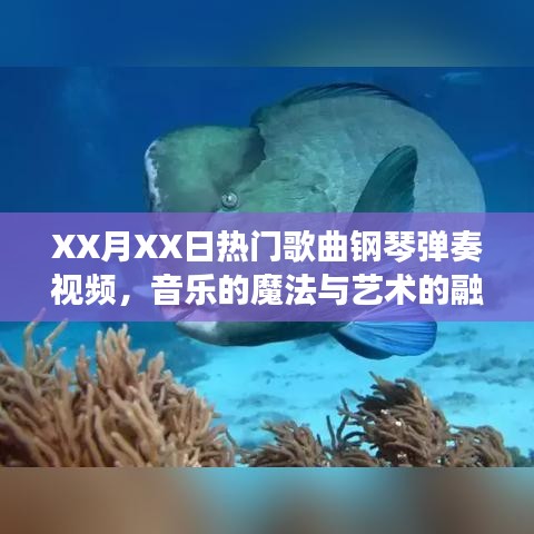 音樂的魔法與藝術(shù)融合，XX月XX日熱門歌曲鋼琴彈奏視頻欣賞