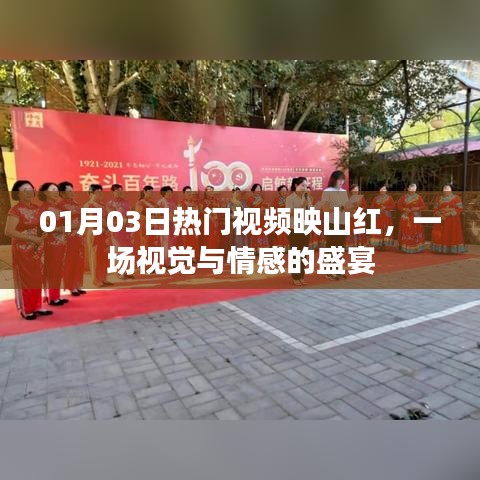 映山紅視覺盛宴，情感交織的熱門視頻