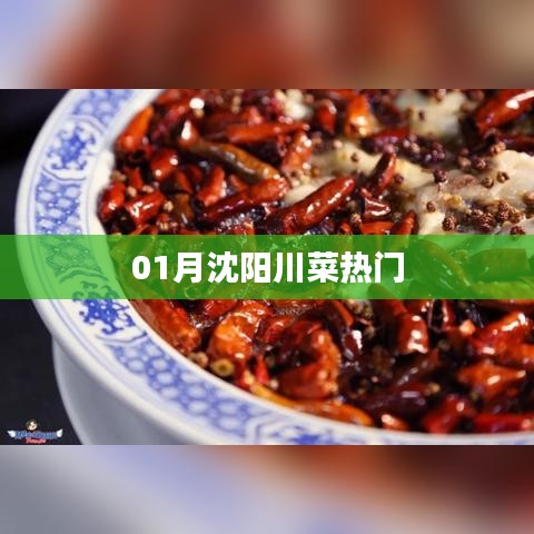 沈陽(yáng)一月川菜熱門(mén)榜單