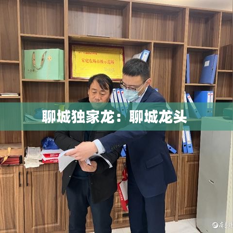 聊城獨家龍：聊城龍頭 