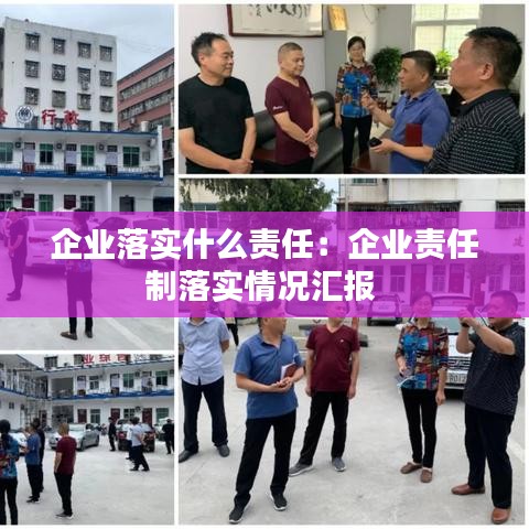 企業(yè)落實什么責任：企業(yè)責任制落實情況匯報 