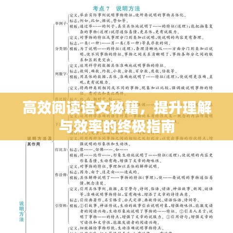 高效閱讀語(yǔ)文秘籍，提升理解與效率的終極指南