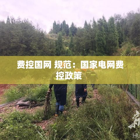費(fèi)控國(guó)網(wǎng) 規(guī)范：國(guó)家電網(wǎng)費(fèi)控政策 