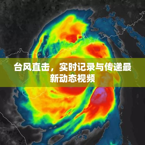 臺風直擊，實時記錄與傳遞最新動態(tài)視頻