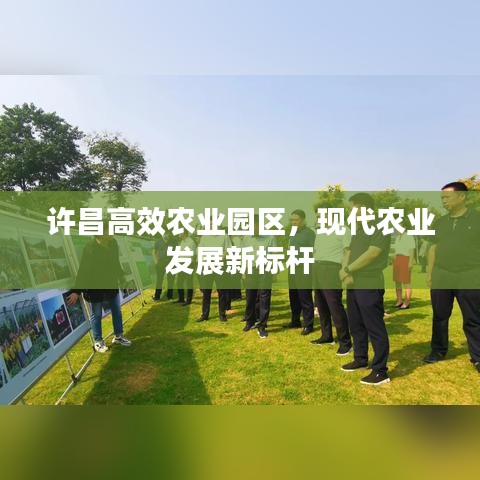 許昌高效農(nóng)業(yè)園區(qū)，現(xiàn)代農(nóng)業(yè)發(fā)展新標(biāo)桿