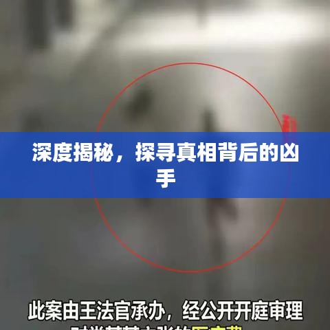 深度揭秘，探尋真相背后的兇手