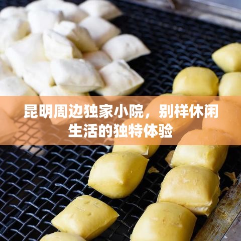 昆明周邊獨(dú)家小院，別樣休閑生活的獨(dú)特體驗(yàn)