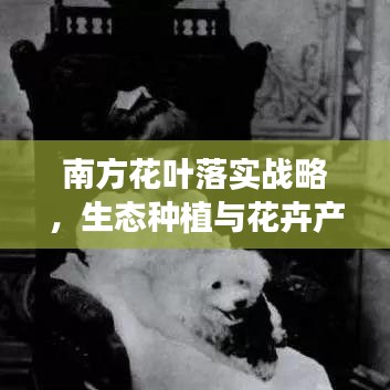 南方花葉落實(shí)戰(zhàn)略，生態(tài)種植與花卉產(chǎn)業(yè)繁榮之路