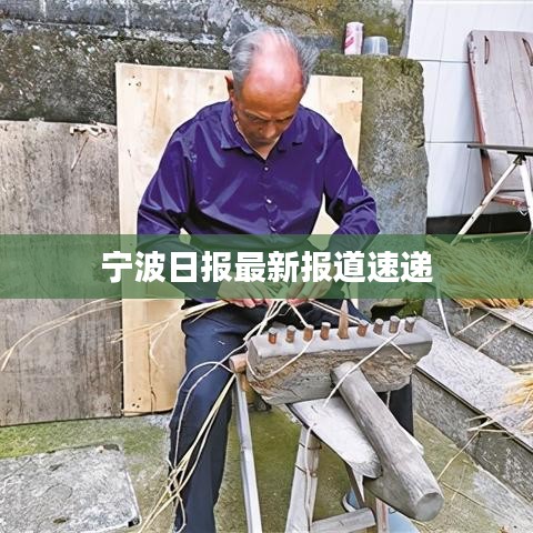 寧波日報最新報道速遞