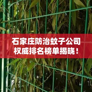 石家莊防治蚊子公司權(quán)威排名榜單揭曉！