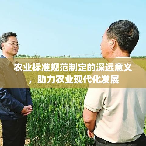 農(nóng)業(yè)標(biāo)準(zhǔn)規(guī)范制定的深遠(yuǎn)意義，助力農(nóng)業(yè)現(xiàn)代化發(fā)展