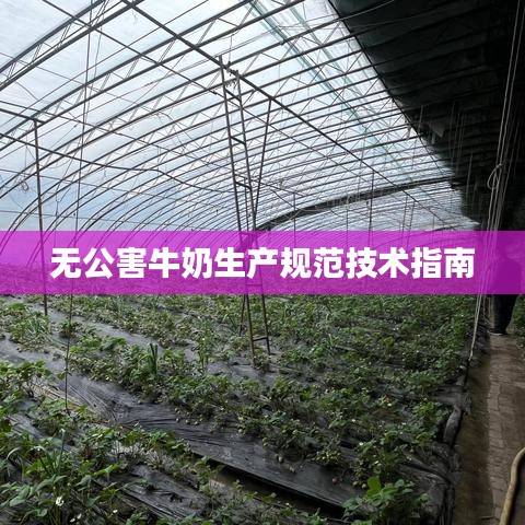 早生貴子 第4頁