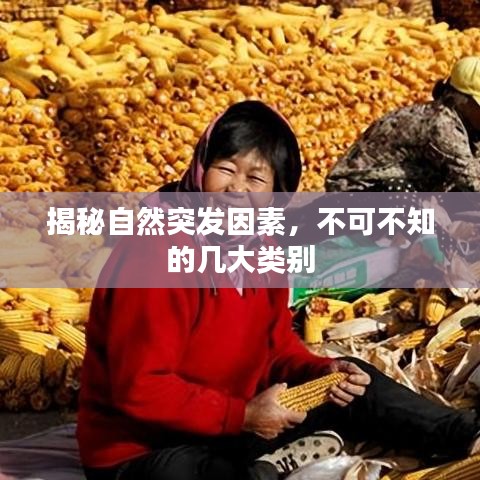 揭秘自然突發(fā)因素，不可不知的幾大類別