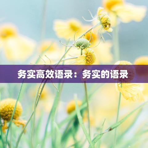 務(wù)實(shí)高效語(yǔ)錄：務(wù)實(shí)的語(yǔ)錄 