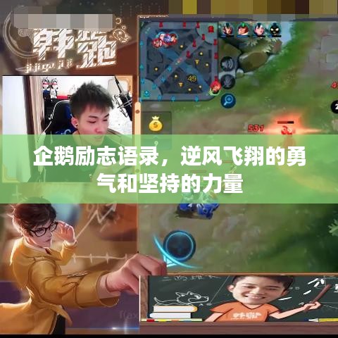 企鵝勵志語錄，逆風(fēng)飛翔的勇氣和堅持的力量