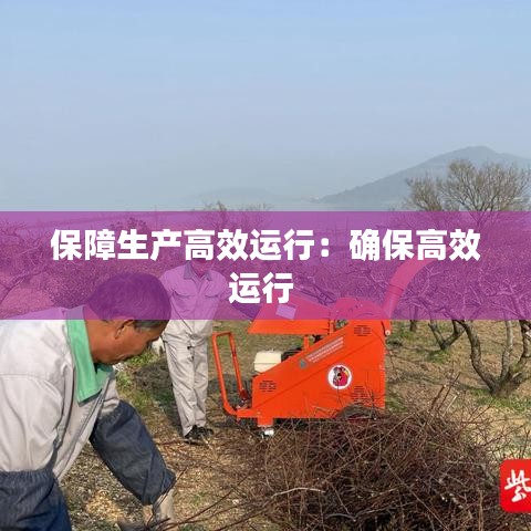 保障生產(chǎn)高效運行：確保高效運行 