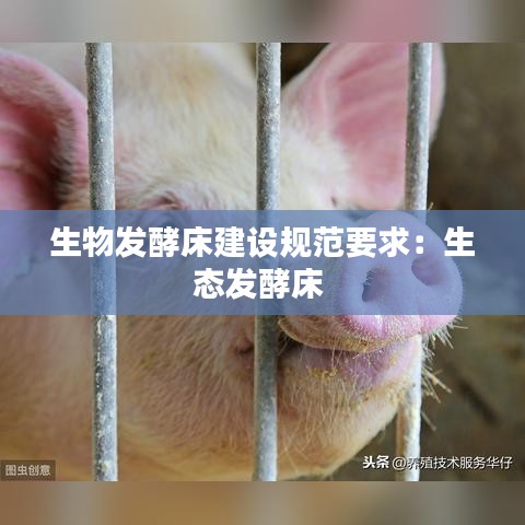 公司簡(jiǎn)介 第309頁