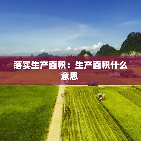 落實(shí)生產(chǎn)面積：生產(chǎn)面積什么意思 