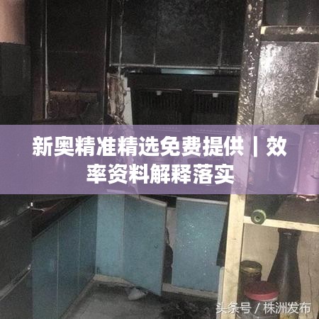 新奧精準精選免費提供｜效率資料解釋落實