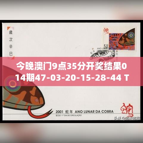 今晚澳門9點(diǎn)35分開獎(jiǎng)結(jié)果014期47-03-20-15-28-44 T：32｜全面解答解釋落實(shí)