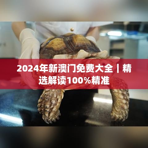 2024年新澳門免費大全｜精選解讀100%精準