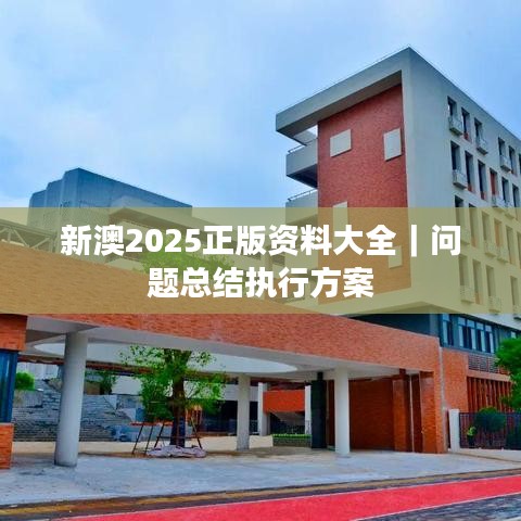 新澳2025正版資料大全｜問(wèn)題總結(jié)執(zhí)行方案