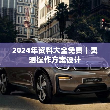 2024年資料大全免費｜靈活操作方案設計