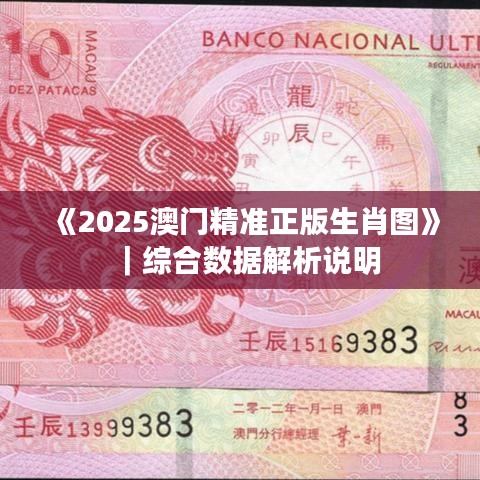 《2025澳門精準(zhǔn)正版生肖圖》｜綜合數(shù)據(jù)解析說明