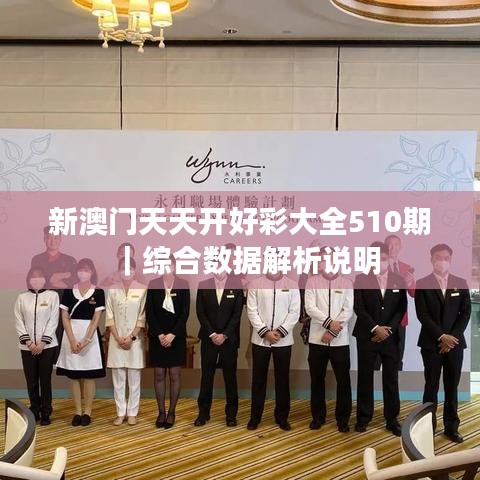 新澳門天天開好彩大全510期｜綜合數(shù)據(jù)解析說明