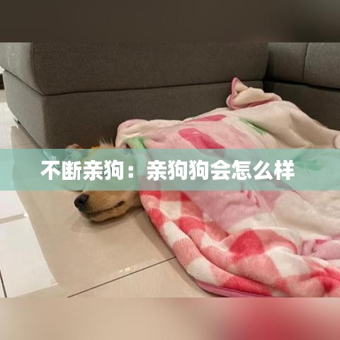 不斷親狗：親狗狗會(huì)怎么樣 