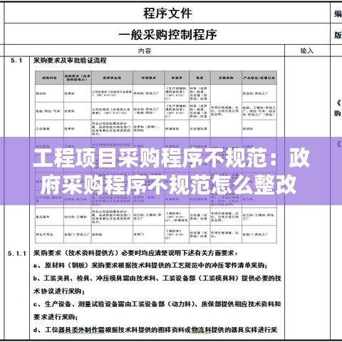 工程項目采購程序不規(guī)范：政府采購程序不規(guī)范怎么整改 