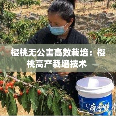 櫻桃無公害高效栽培：櫻桃高產(chǎn)栽培技術(shù) 
