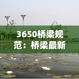 3650橋梁規(guī)范：橋梁最新規(guī)范要求 