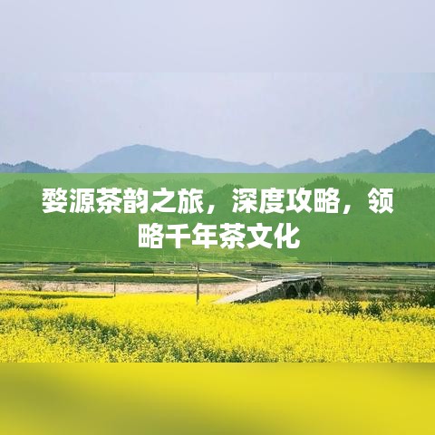 婺源茶韻之旅，深度攻略，領(lǐng)略千年茶文化