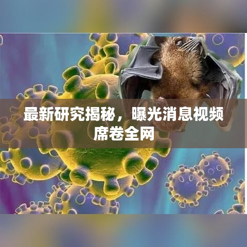 最新研究揭秘，曝光消息視頻席卷全網(wǎng)