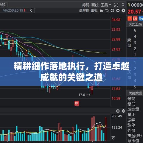 精耕細(xì)作落地執(zhí)行，打造卓越成就的關(guān)鍵之道