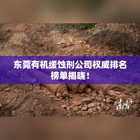 東莞有機(jī)緩蝕劑公司權(quán)威排名榜單揭曉！