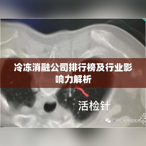 冷凍消融公司排行榜及行業(yè)影響力解析