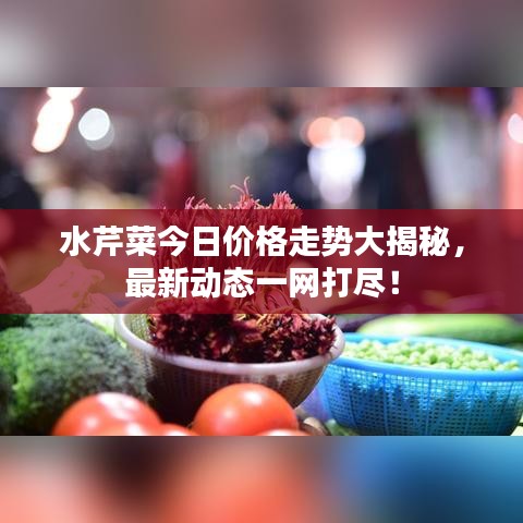 水芹菜今日價(jià)格走勢(shì)大揭秘，最新動(dòng)態(tài)一網(wǎng)打盡！