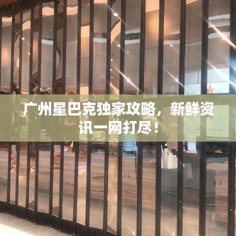 廣州星巴克獨家攻略，新鮮資訊一網打盡！