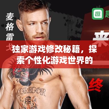 獨(dú)家游戲修改秘籍，探索個(gè)性化游戲世界的無限奧秘