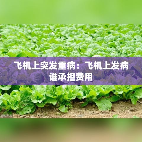 飛機(jī)上突發(fā)重病：飛機(jī)上發(fā)病 誰(shuí)承擔(dān)費(fèi)用 