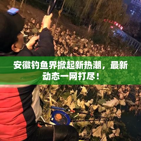 安徽釣魚界掀起新熱潮，最新動態(tài)一網(wǎng)打盡！