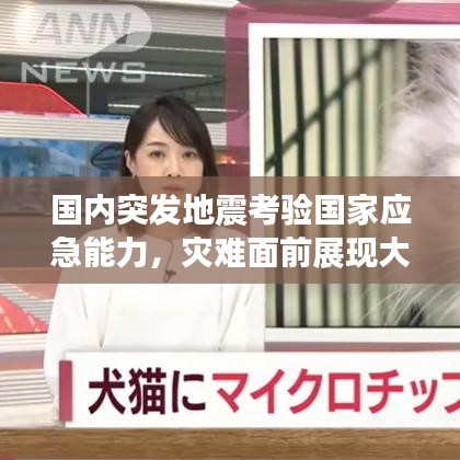 國內(nèi)突發(fā)地震考驗(yàn)國家應(yīng)急能力，災(zāi)難面前展現(xiàn)大國擔(dān)當(dāng)