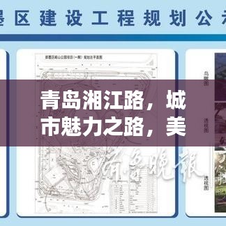 青島湘江路，城市魅力之路，美景盡收眼底